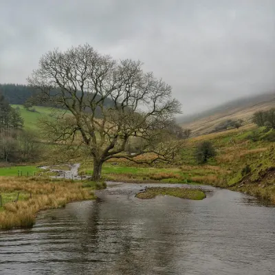 West Yorkshire display picture