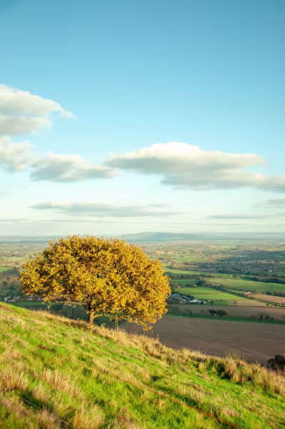 A Herefordshire Dating Agency