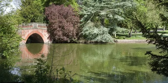 Sutton Park / Cannon Hill Park