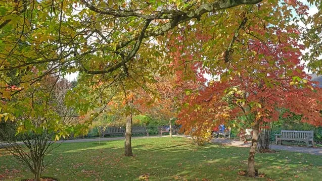 Heaton Park