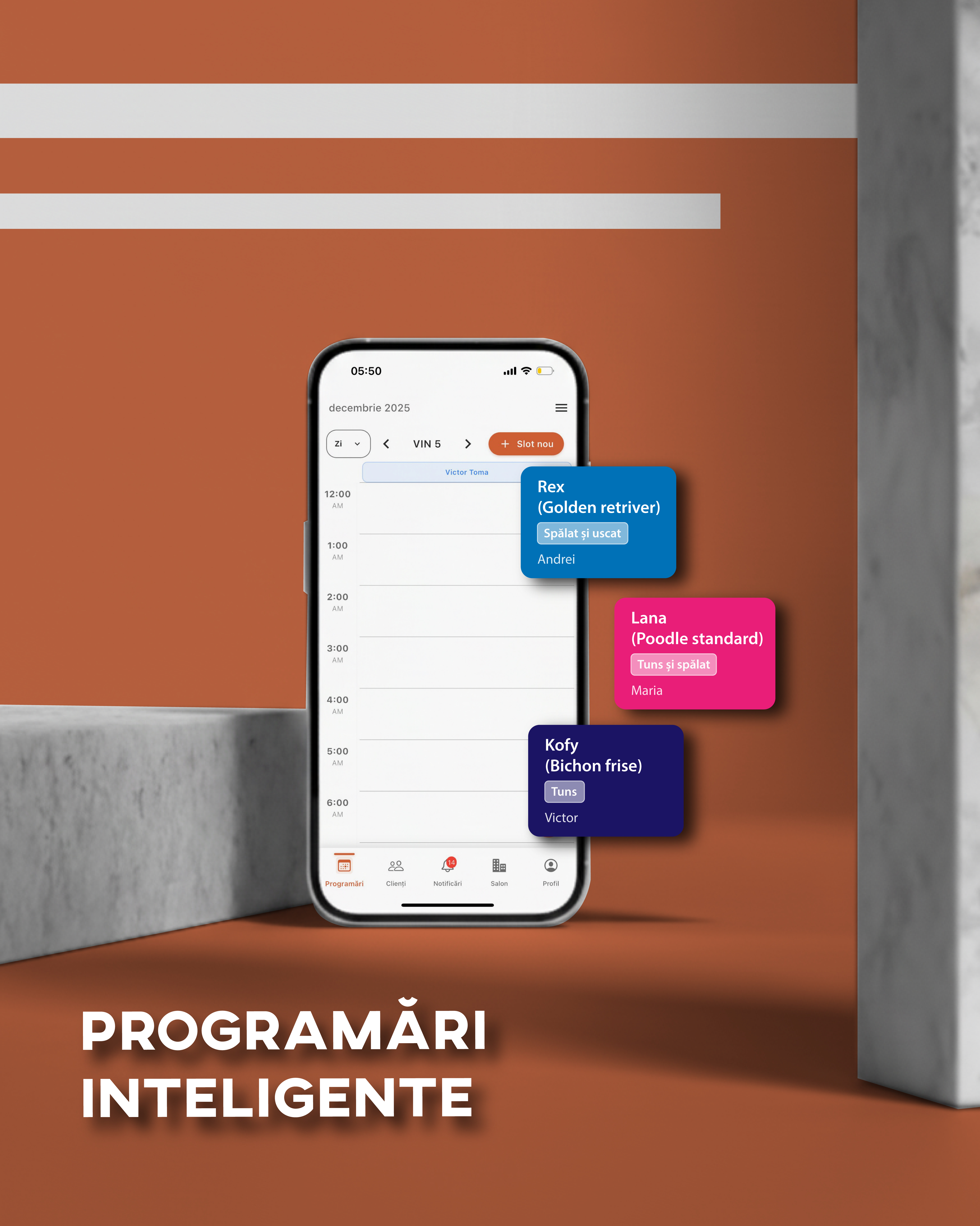Programări Inteligente