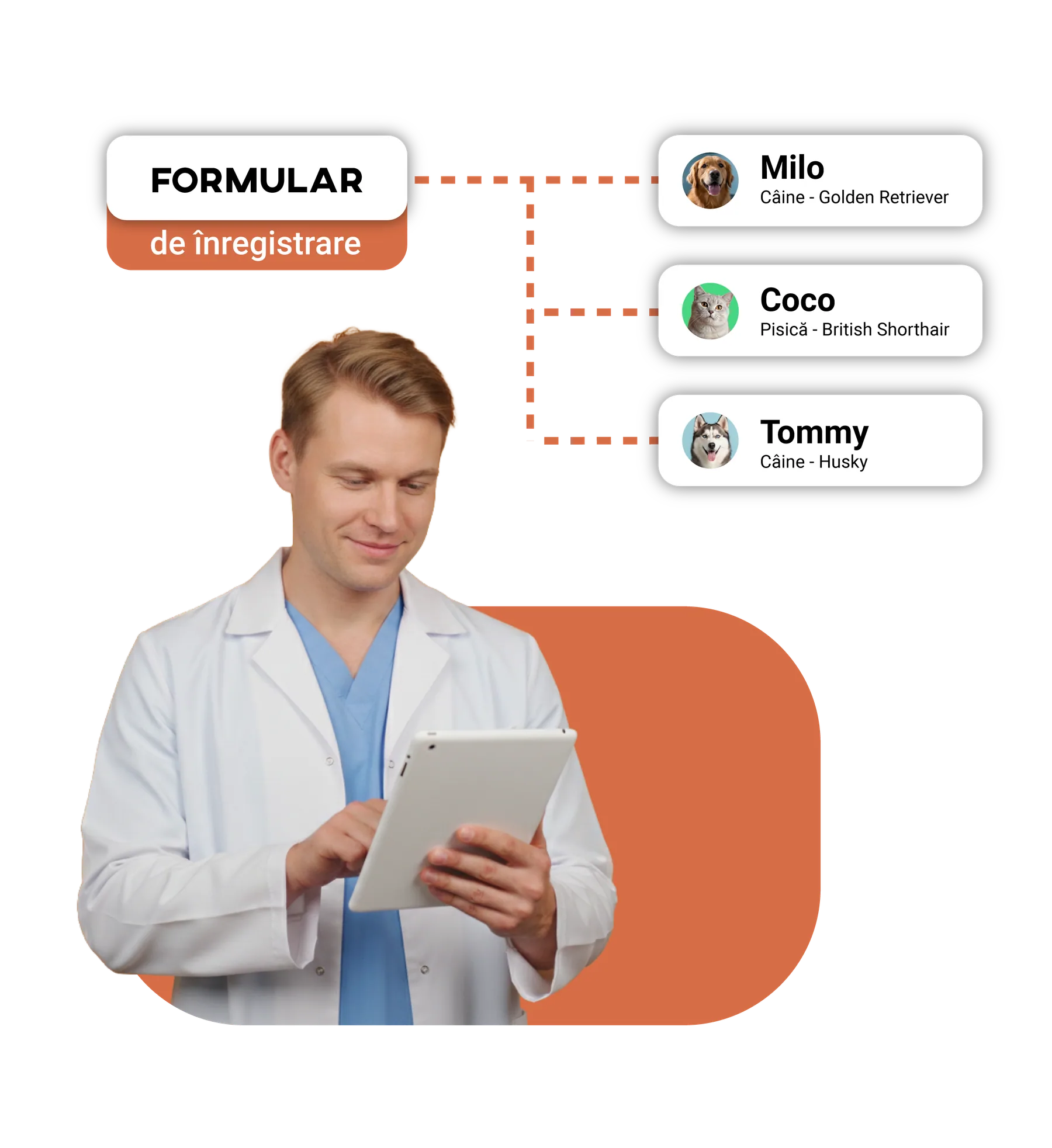 Medic veterinar lucrând pe o tabletă, cu același formular legat de pacienții Milo, Coco și Tommy.