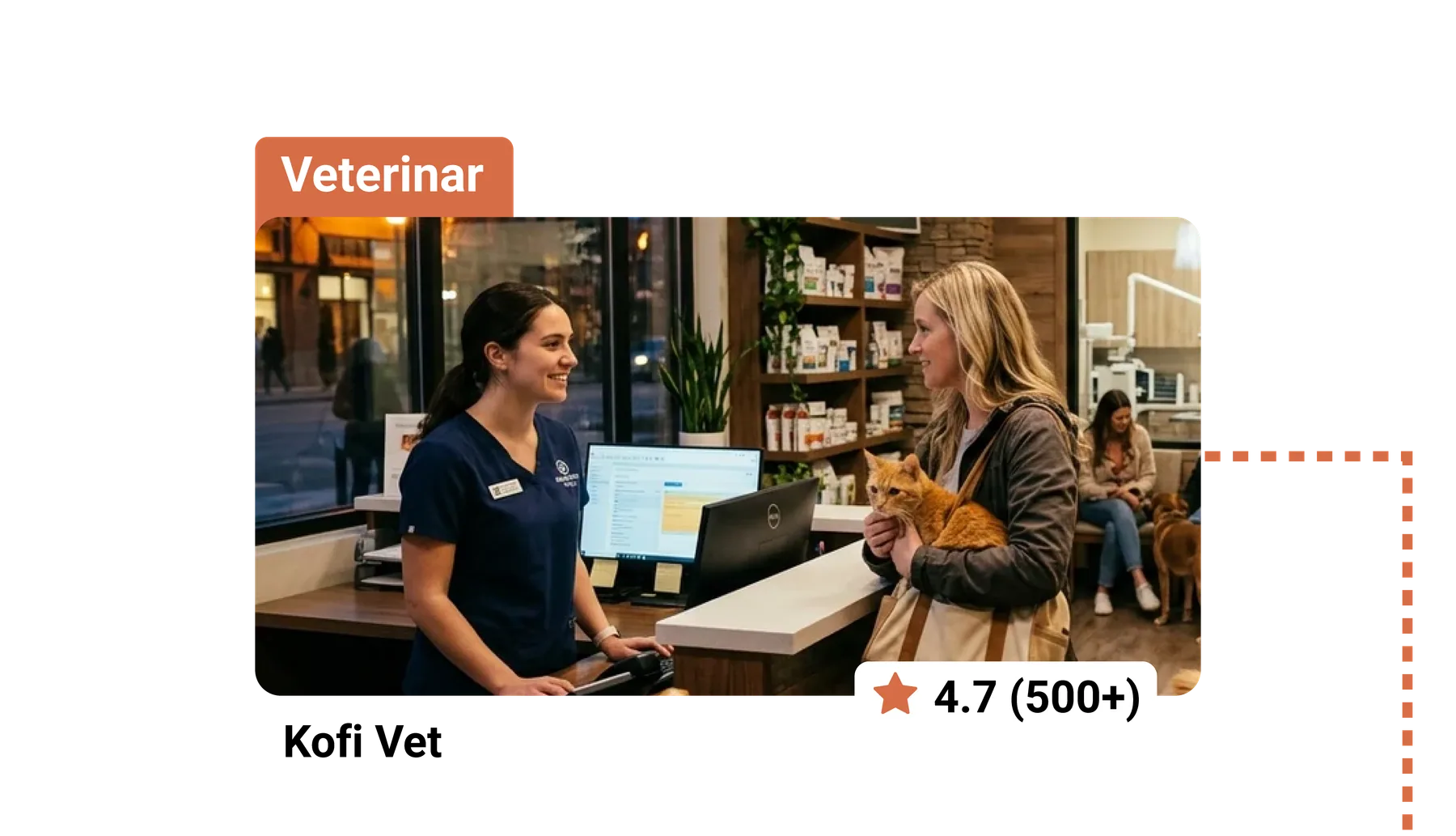 Recepția unei clinici veterinare: asistentă în scrubs bleumarin la calculator discută cu o clientă care ține în brațe o pisică portocalie.