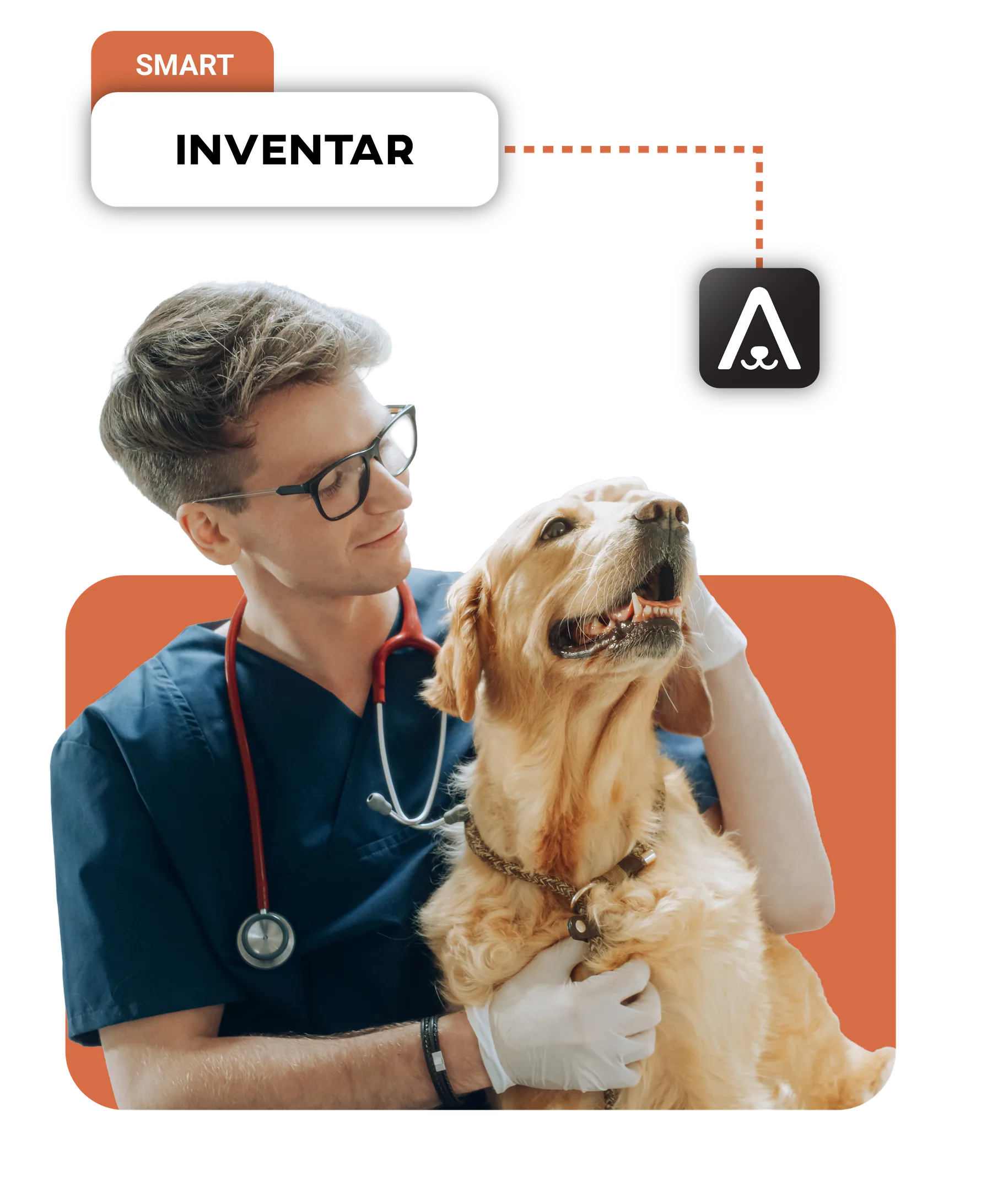 Medic veterinar în halat ținând în brațe un golden retriever, lângă eticheta INVENTAR a aplicației Animalia.