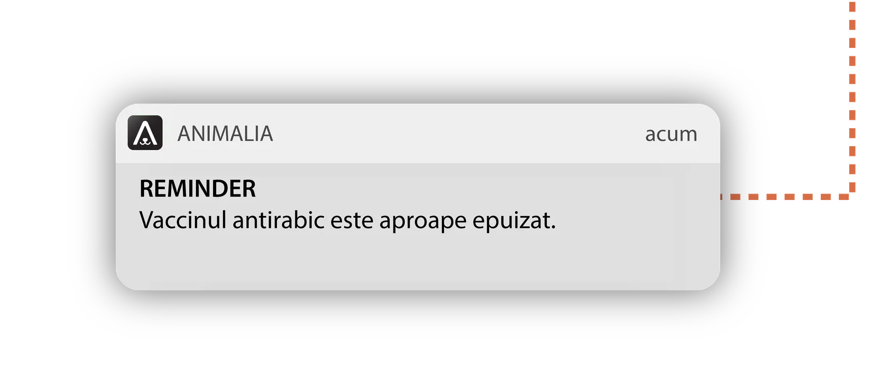 Notificare push Animalia: REMINDER — Vaccinul antirabic este aproape epuizat.