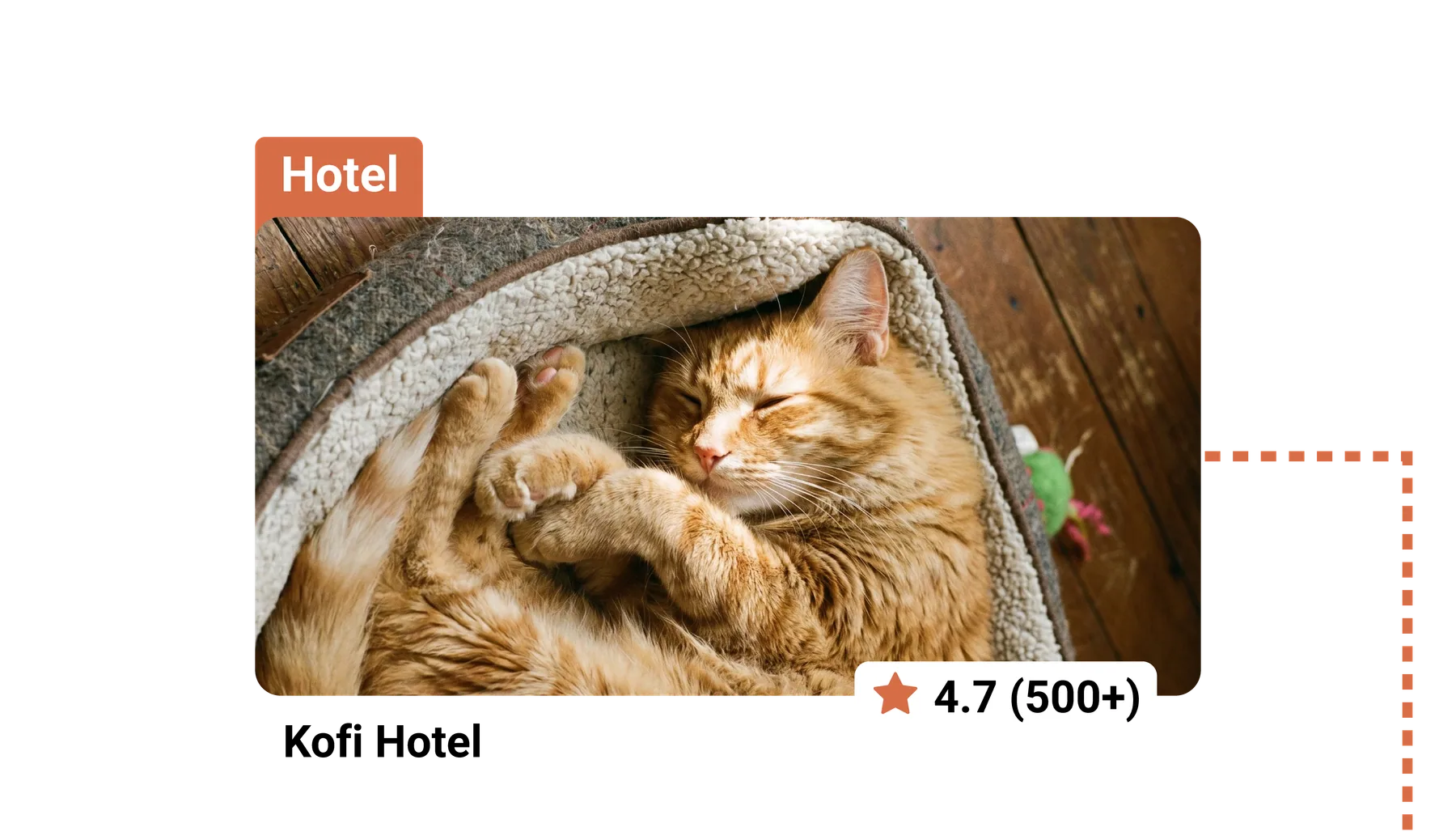 Card de listare a unui pet hotel cu o pisică roșcată care doarme într-un pat moale și un rating de 4.7 din peste 500 de recenzii.