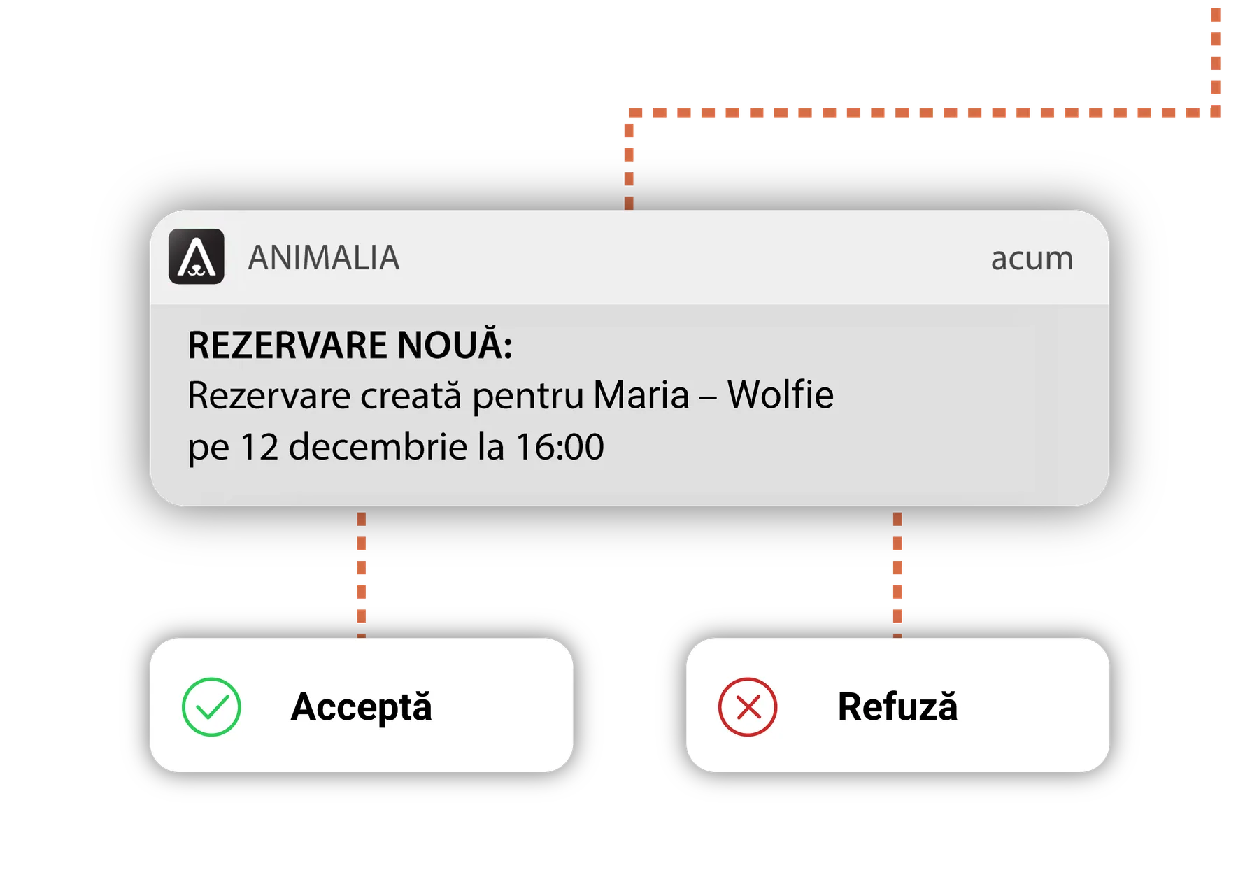 Notificare de rezervare nouă în aplicația Animalia, cu butoane pentru a accepta sau a refuza rezervarea.