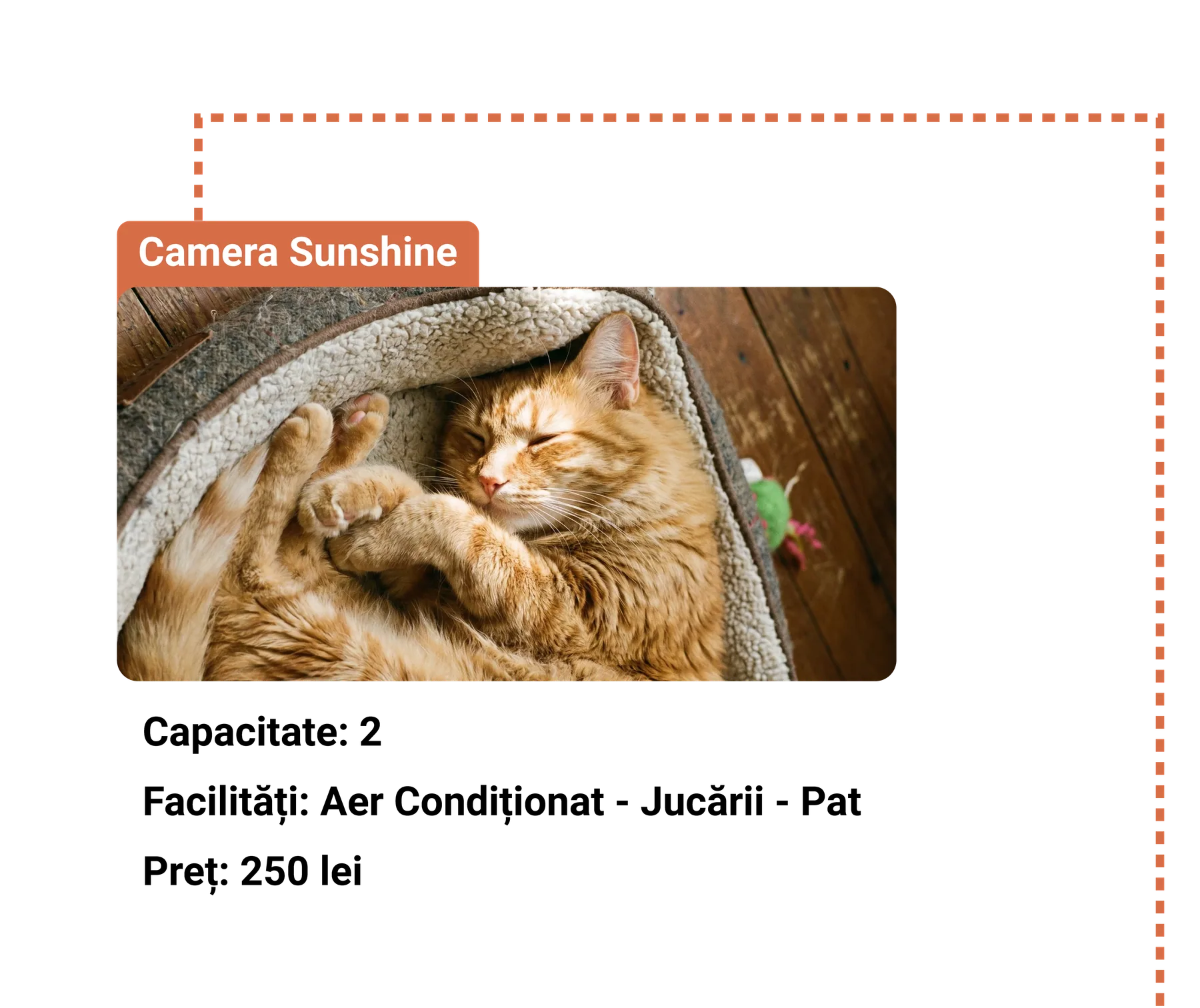 Pisică portocalie dormind într-un pat pufos, cu eticheta camerei Camera Sunshine.