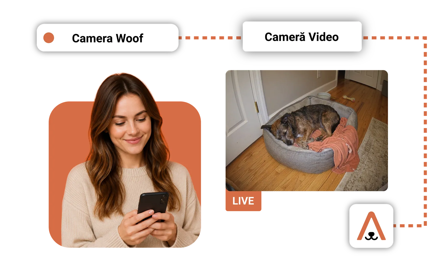 Stăpână care urmărește pe telefon camera video LIVE din camera animalului cazat.