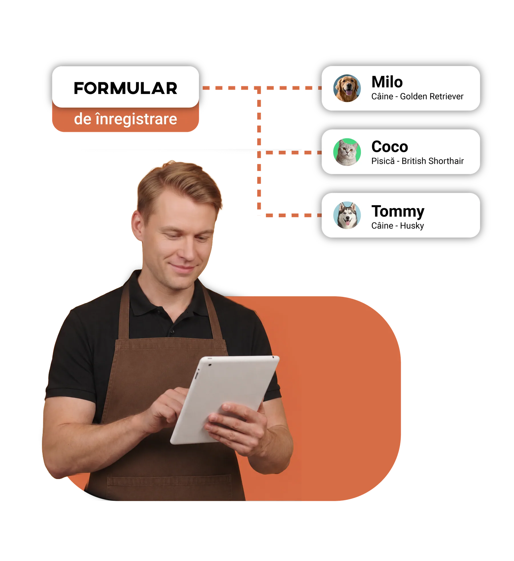 Toaletor cu o tabletă, gestionând formularele mai multor clienți