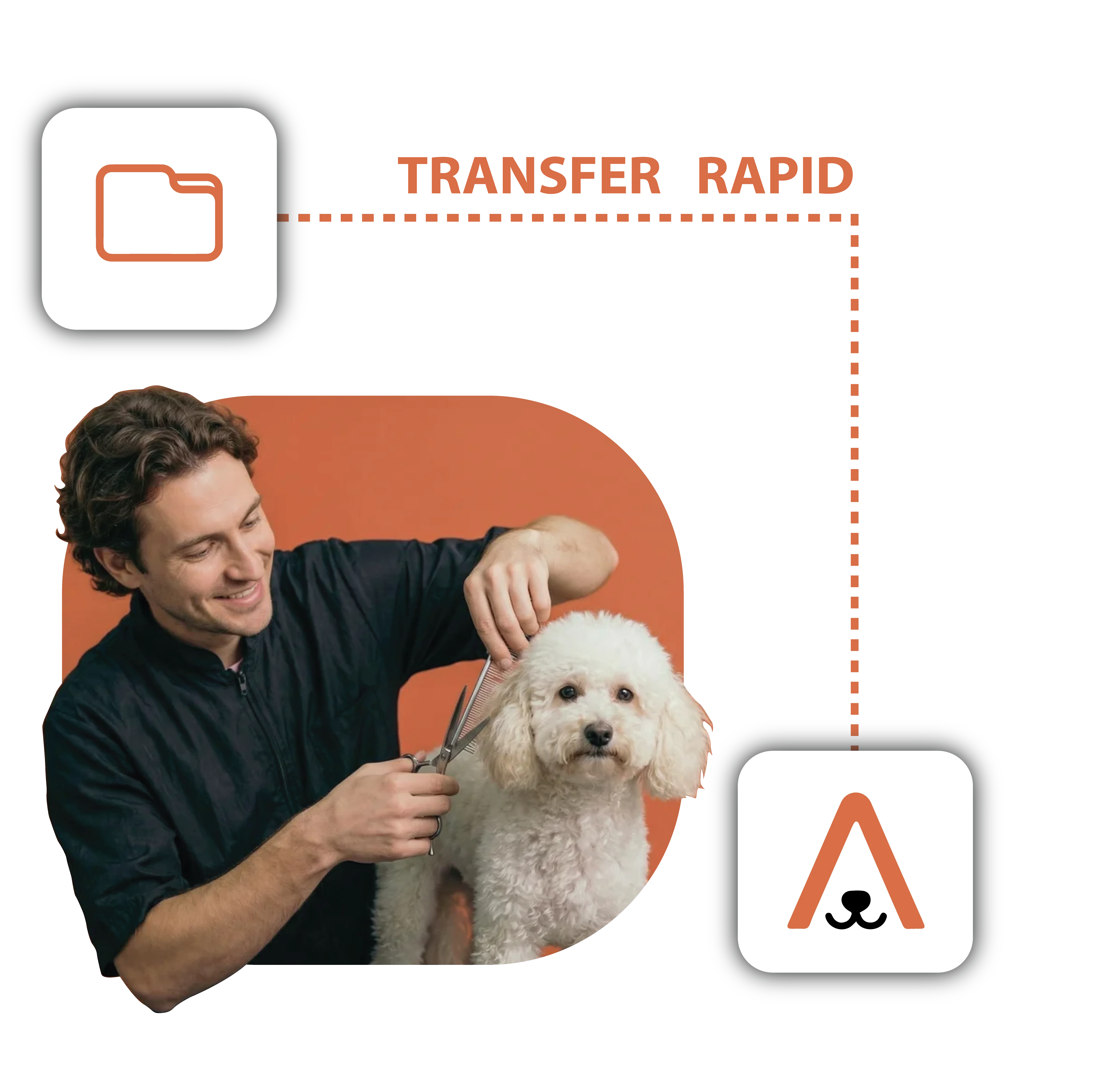Transfer rapid - activitatea continuă