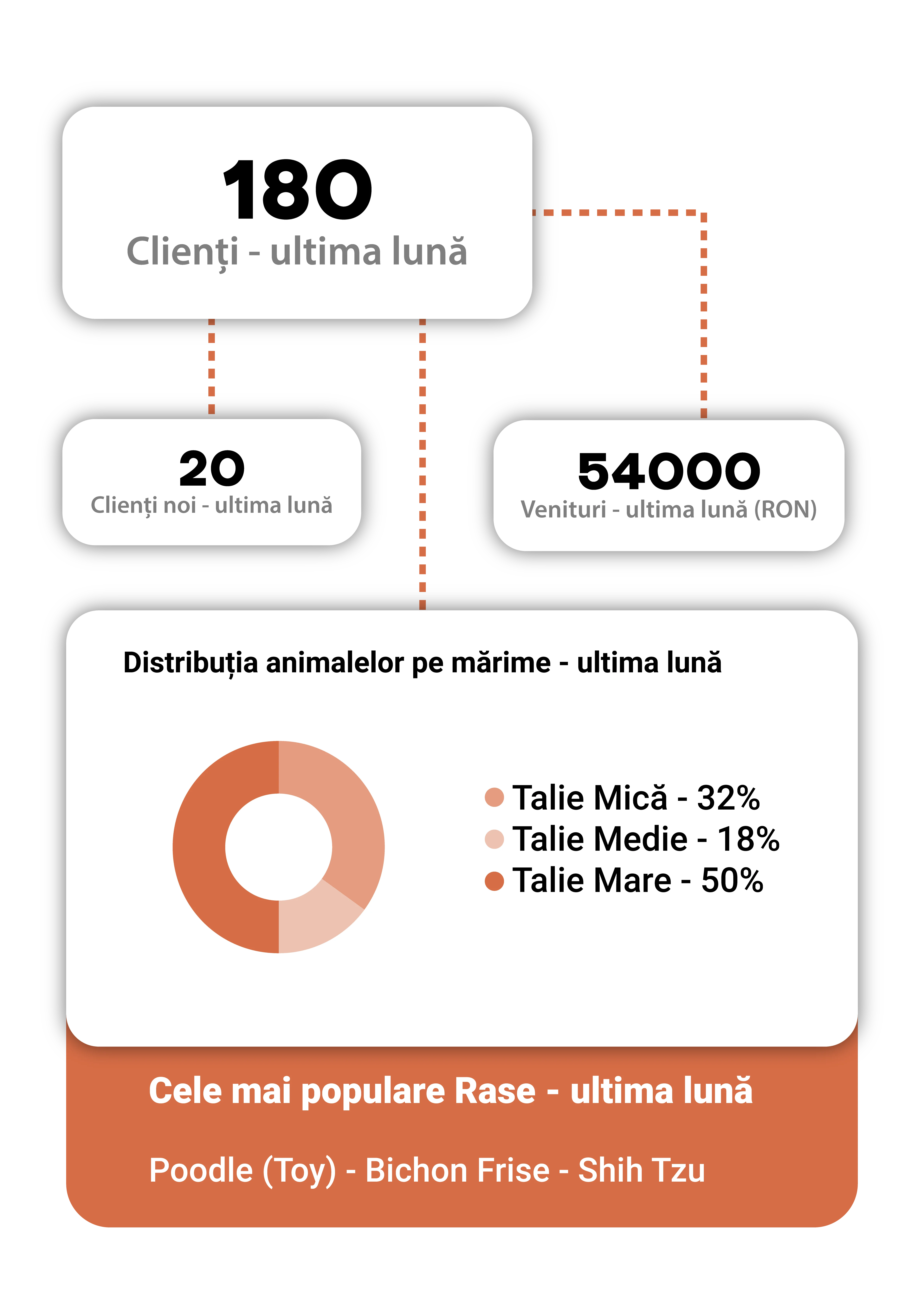 Statistici clienți și venituri