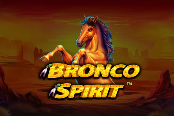 Bronco Spirit