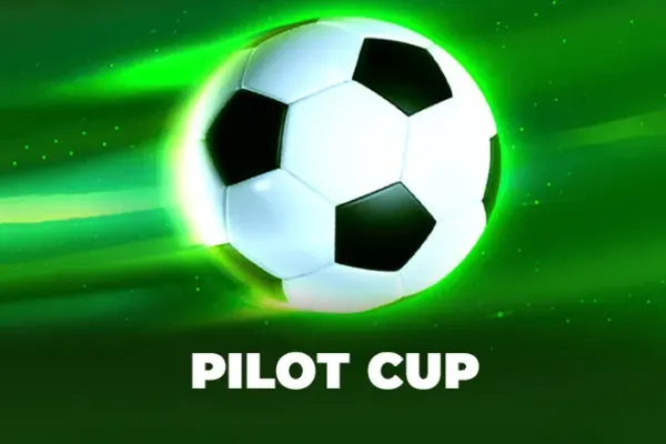 Pilot Cup