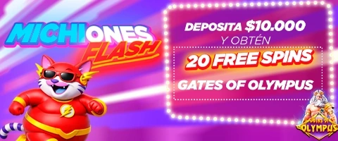 MICHIONES-FLASH-BANNER-MOBILE (3)