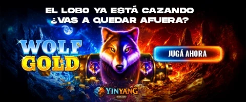 480x200 copia