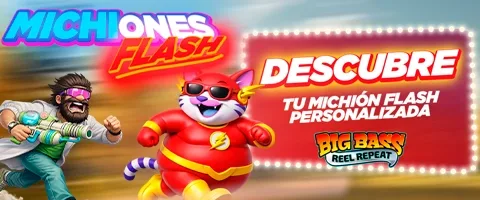 MICHIONES-FLASH-BANNER-MOBILE (10)