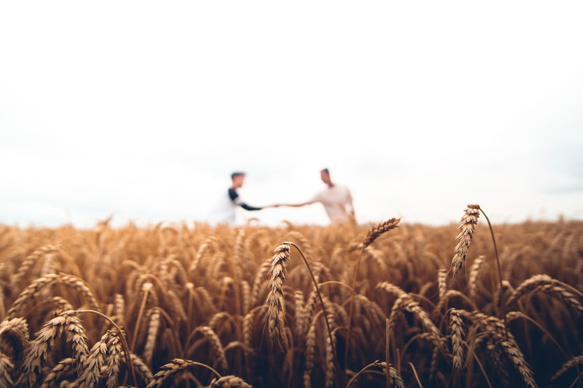 The Farmers' Tables: Farm-to-Fork Experiences Reimagined