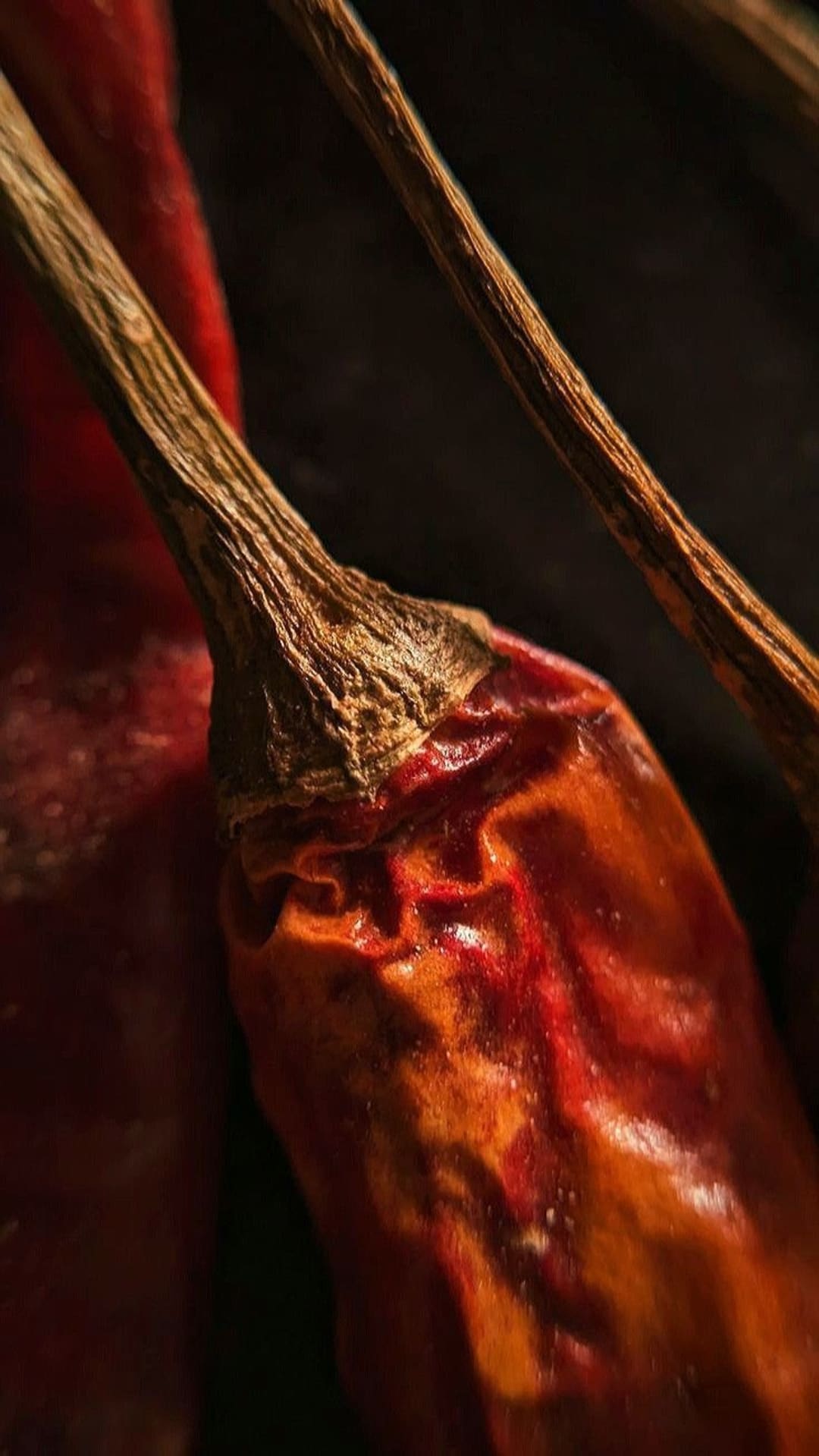 From Poison Rumours to Pan Asian Bowls: How Spice Took Over the Table — Xin Journal