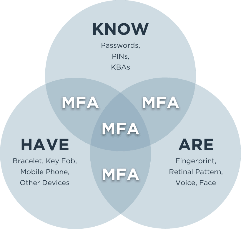 mfa.webp