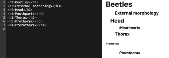 Demonstration of Incorrect heading structure