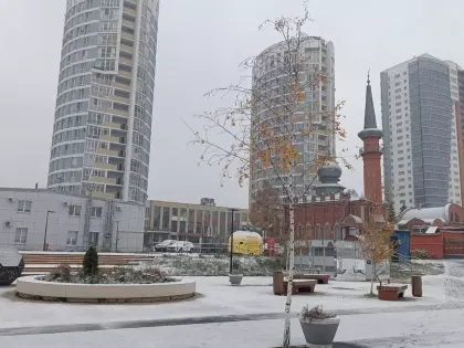 Новые инициативы в области экологии в Москве