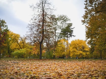 Опять лето? Нижегородцам рассказали о погоде на выходные