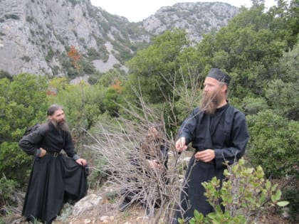 Любовь и жертва. Взаимосвязь.