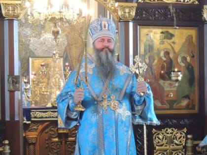 Глава Нижегородской митрополии поздравил епископа Нижнетагильского и Невьянского Феодосия с юбилеем