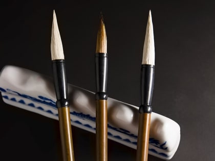 Саровчанки победили в конкурсе «Талантливые дети России»