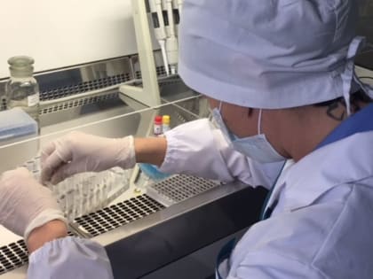 Два случая присасывания клещей зарегистрировали в Нижегородской области на 29 марта