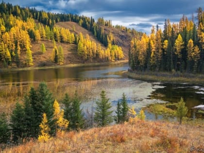 Настоящее счастье