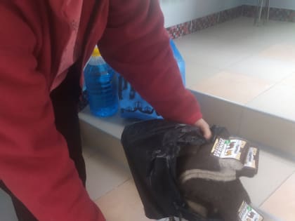 Арзамасский православный детский сад провел сбор гуманитарной помощи