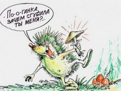 Наркоман по фамилии Мухоморов едва не умер, отравившись мухоморами