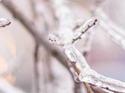 Ледяной дождь и сильный ветер накроют Нижегородскую область до 2 февраля