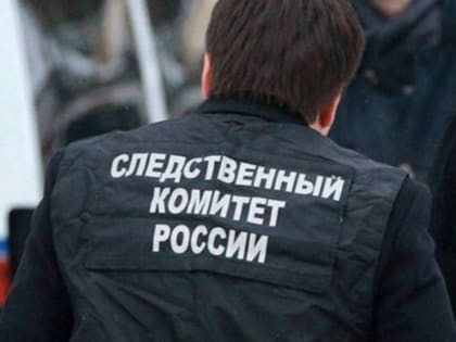 Следователи выясняют обстоятельства отравления детей в выксунском лагере