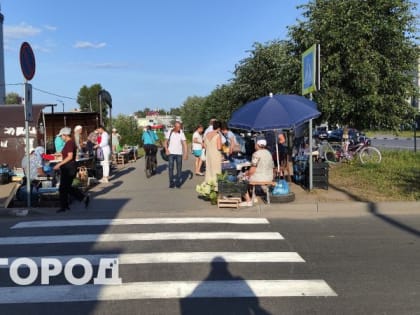 Экстремальное пекло усиливается: Вильфанд предостерег о критических +40 градусах