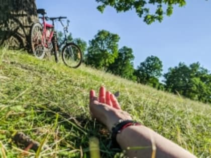 На территории городского округа Дзержинск к началу лета зафиксировано 226 обращений за медицинской помощью по поводу присасывания клещей