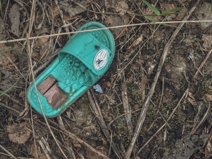 Бастрыкин требует разобраться в смерти нижегородского ребенка