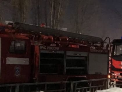 87-летний мужчина заживо сгорел в доме под Богородском