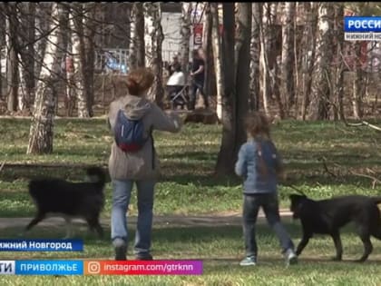 В парке Пушкина начали устанавливать батут, качели и большую песочницу