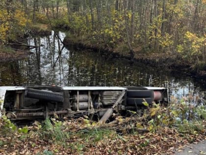 Автобусная авария в Навашино: начато расследование