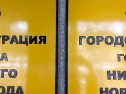 Молодежная палата при гордуме Нижнего Новгорода отчиталась об итогах деятельности V созыва