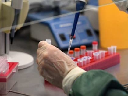 Об инфекционной ситуации