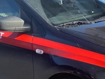 СК проверяет органы профилактики после угрозы нижегородки зарезать сына