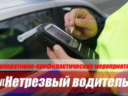 Рейд по выявлению водителей в состоянии опьянения пройдет на территории Нижегородской области в период с 21 по 24 февраля