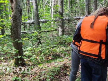 Роспотребнадзор: клещи могут передавать еще одну болезнь, о которой вы не знали