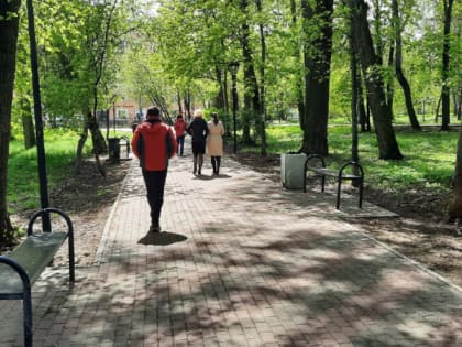 Отличная погода для рабочего дня: чем порадует природа нижегородцев во вторник