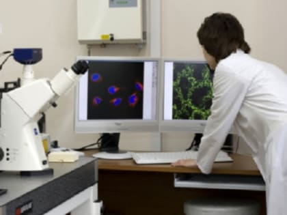 Нижегородцам рассказали о слепнях, переносящих энцефалит и сибирскую язву