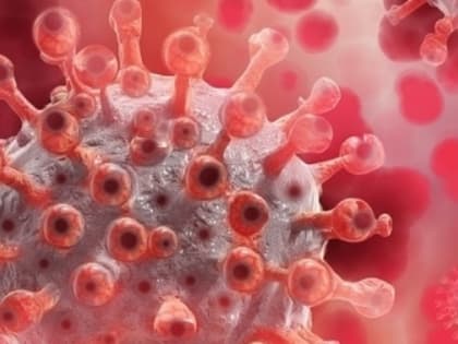 Два человека скончались от COVID-19 в Нижегородской области за сутки